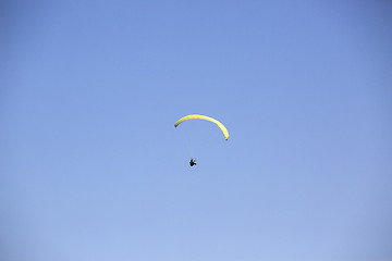 Image showing Paraglider