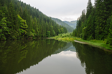 Image showing Lacul Rosu the Red Lake, Eastern Carpathians, Romania