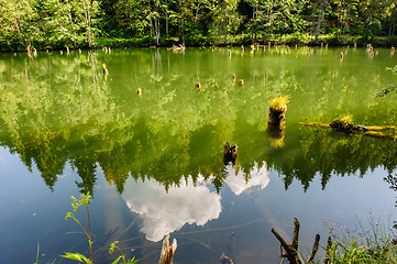 Image showing Lacul Rosu the Red Lake, Eastern Carpathians, Romania