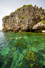 Image showing asia in the  kho phangan isles bay      thailand  swimming snork