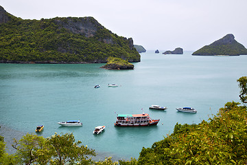 Image showing  boat of a  green lagoon and tree 