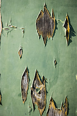 Image showing Green old painted wooden