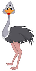 Image showing Funny Cartoon Ostrich