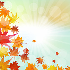 Image showing Autumn  Frame