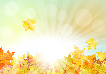 Image showing Autumn  Frame