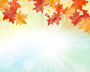 Image showing Autumn  Frame