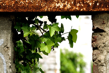 Image showing broken window