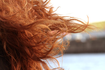 Image showing Red Hair