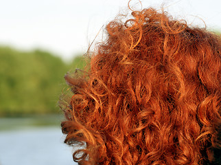 Image showing Red Hair