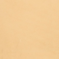 Image showing Beige leather