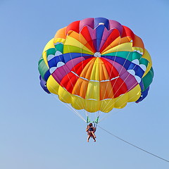 Image showing Parasailing in a blue sky near sea beach