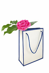 Image showing Shopping Bag