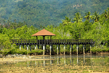 Image showing Indonesian landscape with mangrove and view point walkway