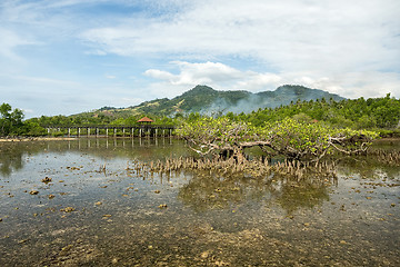 Image showing Indonesian landscape with mangrove and walkway