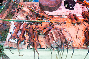 Image showing tradition speciality, roasted jungle rat