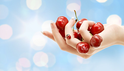 Image showing female hand full of red cherries