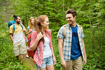 Image showing group of smiling friends with backpacks hiking