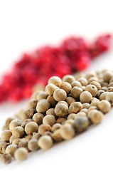 Image showing Red and white peppercorns