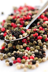 Image showing Mixed peppercorns