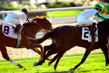 Image showing Horses racing