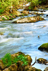 Image showing River rapids