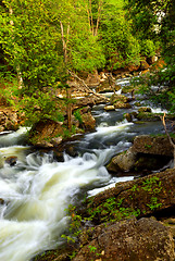 Image showing River rapids