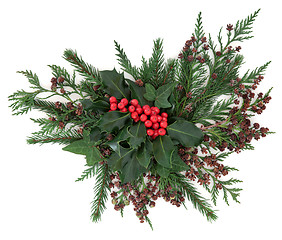 Image showing Winter Flora