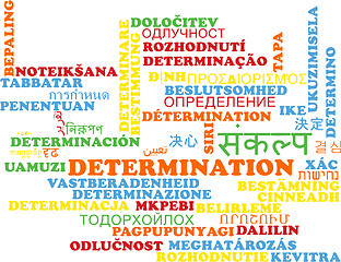 Image showing Determination multilanguage wordcloud background concept