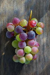 Image showing Unripe grapes