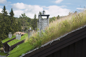 Image showing Cabin With Gras Roof