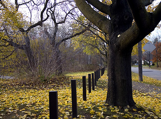 Image showing Fall Landscape  no1