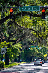 Image showing Savannah Georgia  oak tree lined streets