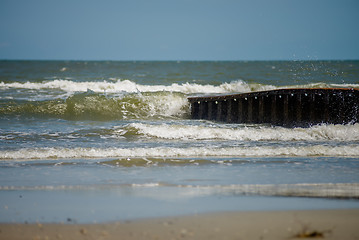 Image showing palmetto forest on hunting island beach