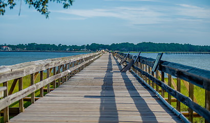 Image showing nature scenes around hunting island south carolina