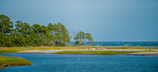 Image showing nature scenes around hunting island south carolina