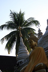 Image showing The golden Buddha