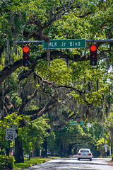 Image showing Savannah Georgia  oak tree lined streets