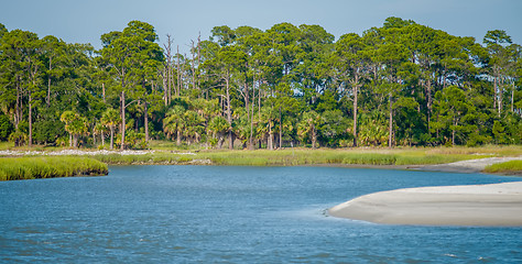 Image showing nature scenes around hunting island south carolina