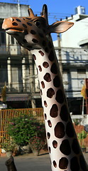 Image showing The giraffe