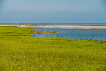 Image showing nature scenes on hunting island south carolina