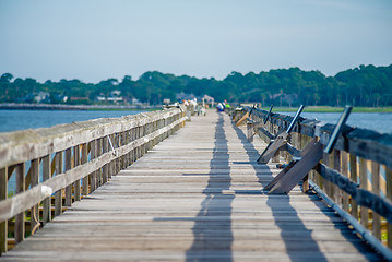 Image showing nature scenes around hunting island south carolina