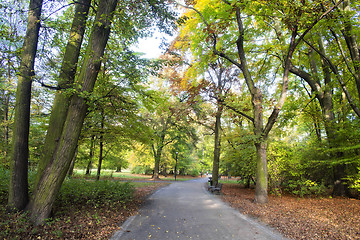 Image showing Park in spring time