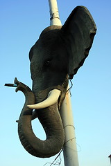 Image showing Elephant head