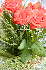 Image showing A close up macro shot of a red rose