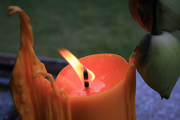 Image showing Candle and bud