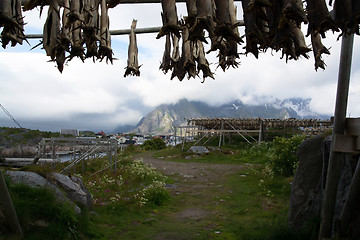 Image showing Henningsvaer, Lofoten, Norway