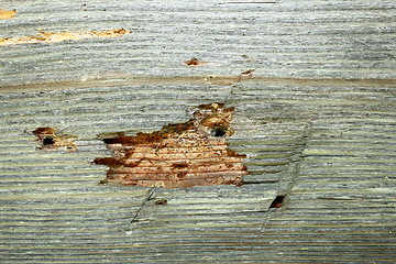 Image showing insect attack on old construction wood