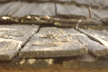 Image showing lichens and fungus on damaged wood roof