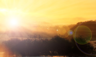 Image showing beautiful sunset over the woods