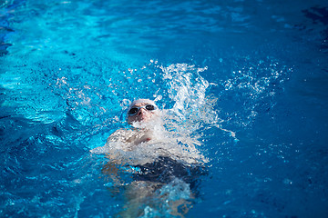 Image showing swimmer excercise on indoor swimming poo